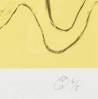 Wahorn András (1953-): Három szemű kukac. Computer print, merített papír, jelzett, számozott (6/5), ...