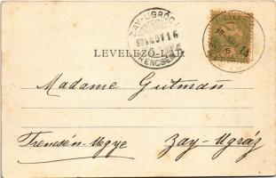 1904 Temesújfalu, Temesvár-Újfalu, Neudorf; Gróf Zselénszky kastély. Őfelsége I. Ferenc József lakás...