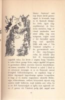 Kónyi János - Banga János (ill.) - Szemethy Imre (ill.): 
Ártatlan múlatság avagy Florentz és Lion ...