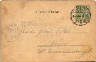 1900 Pozsony, Pressburg, Bratislava; vár, gőzhajó / castle, steamship s: Kopallik (EB)