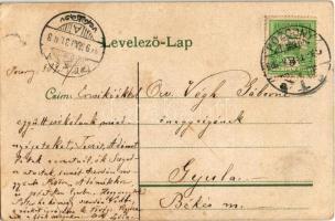 1909 Pozsony, Pressburg, Bratislava; Fő tér, Városháza / main square, town hall (fa)