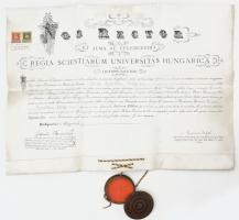 1904 gr Zichy Lipót (1882-1941) államtudományi diploma, pergamen, függő viaszpecséttel