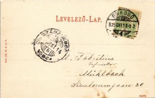 1905 Brassó, Kronstadt, Brasov; Panorama / látkép / general view (fl)