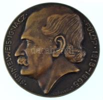 Szántó Gergely (1886-1962) DN "Semmelweis Ignácz Fülöp 1818-1865 / Az anyák megmentője" kétoldalas öntött bronz plakett, dísztokban (65mm) T:AU / Hungary ND Commemorative medallion for Ignác Semmelweis MD "Savior of Mothers", double-sided bronze in display case. Sign.: Gergely Szántó (65mm) C:AU