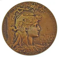 Franciaország 1900. Francia Köztársaság / Párizsi Világkiállítás 1900 kétoldalas bronz emlékérem, adományozva J. VERESS számára, peremén BRONZE beütéssel. Eredeti, bár hiányos, sérült tokban. Szign.: J. C. Chaplain (63mm) T:UNC,AU France 1900. Republic of France / International Exposition Paris 1900 bronze commemorative medallion, awarded to J. VERESS, with BRONZE hallmark on the edge, in original but damaged award case. REPUBLIQUE FRANCAISE / EXPOSITION UNIVERSELLE INTERNATONALE. Sign.: J. C. Chaplain (63mm) C:AU