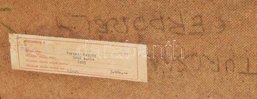 Turcsán Miklós (1944-): Erdőszéle. Olaj, farost. Jelzett. Hátoldalán autográf felirattal és Képcsarn...