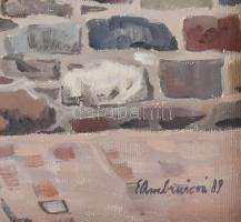 Edita Ambrušová (1920-2015), szlovák festő: Városkép (Pozsony?), 1989. Olaj, vászon. Jelzett. Fakere...