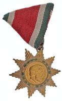 1947. A Magyar Szabadság Érdemrend bronz fokozata részben zománcozott, patinázott bronz kitüntetés trikolor szalagon T:AU felszíni karcok NMK 483.