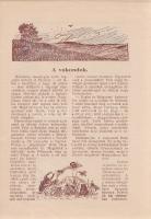 Kis Hitterjesztő. Jézus Szent Gyermeksége Művének lapja. Szerkeszti Zimits Mihály. Megjelenik július...