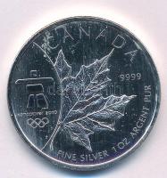 Kanada 2008. 5$ Ag "II. Erzsébet / Juharlevél" kapszulában T:AU patina, karc
Canada 2008....
