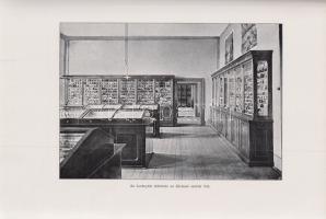 A kalocsai kollégium ötven éve. Biró F., Drebitka F., Hörl Gy., Komárik I., Kostialik J., Riegl S., ...