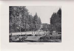 A kalocsai kollégium ötven éve. Biró F., Drebitka F., Hörl Gy., Komárik I., Kostialik J., Riegl S., ...