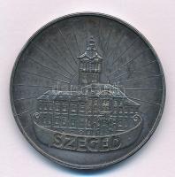 Fritz Mihály (1947-) 2000. "Magyar Millennium / Szeged" peremen jelzett Ag emlékérem (34,1...