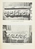 Schels, Johann Baptist: Geschichte der Länder des östreichischen Kaiserstaates. 1-10 kötet (hiány: 8...