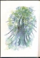 Fésüs Éva: Minibocs. Bátki László rajzaival. Bp., 1989, Szent István Társulat. Kiadói kartonált papí...