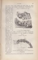 Raith, Josef:
Der populäre Hausarzt. Gemeinverständliche Darstellung der Gesundheitslehre und Heilk...