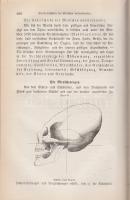 Raith, Josef:
Der populäre Hausarzt. Gemeinverständliche Darstellung der Gesundheitslehre und Heilk...