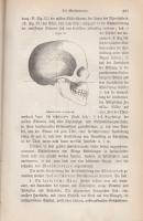 Raith, Josef:
Der populäre Hausarzt. Gemeinverständliche Darstellung der Gesundheitslehre und Heilk...