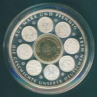 Németország 2000. "A német márka története" Ag emlékérem 50g 1949-es aranyozott 1Pf-sel T:PP