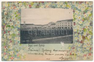 Sepsiszentgyörgy, Sfantu Gheorghe; Szabadság tér, Székely Mikó kollégium. Szecessziós virágos litho keret / square, Calvinist boarding school. Art Nouveau, floral, litho frame (ragasztónyom / glue mark)