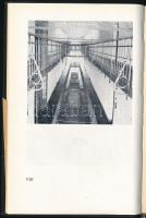 Bazsik Renáta: Mire az erdők kizöldülnek. Bp.,1972,Magvető. Kiadói egészvászon-kötés, volt könyvtári...