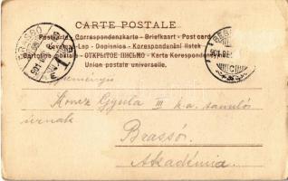 1901 Erotic lady art postcard, beach (Rb)