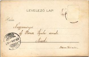 1900 Boldog Újévet / New Year greeting art postcard. Floral, litho (fl)