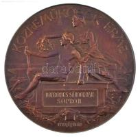 Beck Ötvös Fülöp (1873-1945) 1896. 1896-iki EZREDÉVES ORSZÁGOS KIÁLLÍTÁS / KÖZREMŰKÖDŐK ÉRME bronz emlékérem, adományozva Dobrovics Sándor számára (70mm) T:AU / Hungary 1896. 1896-iki EZREDÉVES ORSZÁGOS KIÁLLÍTÁS / KÖZREMŰKÖDŐK ÉRME double-sided bronze commemorative medallion, awarded to Dobrovics Sándor (70mm) C:AU