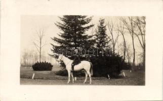 Count Sándor Szirmay on horse photo