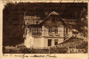 1913 Vihnye, Vihnyefürdő, Kúpele Vyhne; Elvira Lak. Joerges kiadása / villa (EK)