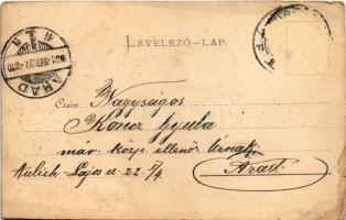 1901 Brassó, Kronstadt, Brasov; látkép / general view (kis szakadás / small tear)