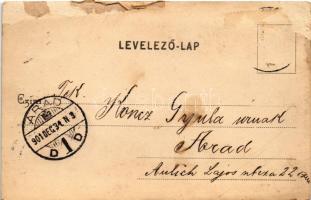 1901 Brassó, Kronstadt, Brasov; Törvényszéki palota. Brassói Lapok kiadása / court palace (Rb)