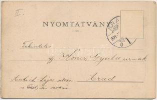 1901 Petrozsény, Petroseni, Petrosani; fűrésztelep. 2-részes kihajtható panorámalap. Grausam Károly ...