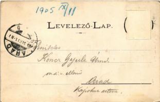 1905 Petrozsény, Petroseni, Petrosani; Szurduki részlet, híd. Adler fényirda / Pasul Surduc / mounta...