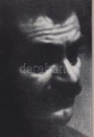 Juhász Ferenc:
A megváltó aranykard.
Budapest, (1973). Szépirodalmi Könyvkiadó (Kner Nyomda [Gyoma...