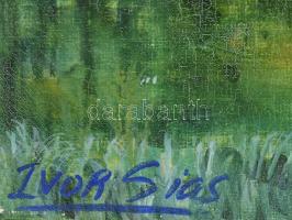 Ivor Sias (1960-): Tiergarten, Berlin, 1995. Olaj, vászon, jelezve balra lent, hátoldalán autográf f...