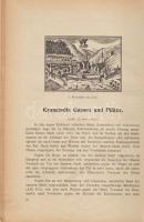 Kronstadt. Erster Teil. (Herausgegeben von Erich Jekelius.) [Unicus, több nem jelent meg.]
[Brassó]...