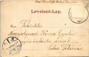 1905 Kisvárda, várrom. Berger J. és Társa kiadása (Rb)