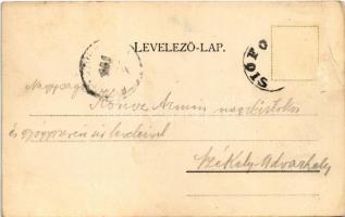 1901 Siófok, Balaton-part. Schwarcz Bernát kiadása (EB)