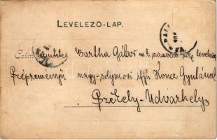 Várpalota, vár. Alpár fényképész kiadása (fl)