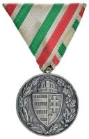 1929. "Magyar Háborús Emlékérem" ezüstözött bronz kitüntetés eredeti mellszalagon, fémjellel T:XF ph. / Hungary 1929. "Hungarian Commemorative War Medal" silver plated bronze decoration with original ribbon, with "BRONZ" hallmark on edge C:XF edge error NMK 419.