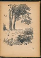 Budapest Lánchíd és a pesti oldal