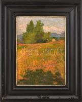 Mányai József (1875-?): Napfényes rét. Olaj, vászon. Jelzett. Antik, dekoratív, kissé sérült fa keretben, 55×41 cm