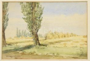 Barabás Reismann Gizella (1893-1985): Napfényes táj. Akvarell, papír, jelzett. Üvegezett, dekoratív fakeretben. 10,5x15,5 cm