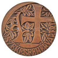 "Székesfehérvárért" kétoldalas bronz emlékplakett (96mm) T:AU