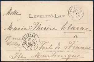 1903 TCV képeslap Turul 10f bérmentesítéssel Martinique szigetére küldve / TCV postcard to Martinique &quot;NAGY-CZIGÁND&quot; - &quot;PA(RI)S ETRANGER&quot;