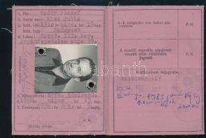 1968-1985 MNK fényképes vezetői engedély (jogosítvány), számos bejegyzéssel
