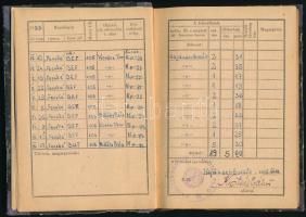 1955-69 Czecze László (1935-?) fényképes repülési naplója motoros sportrepülők számára, számos bejeg...