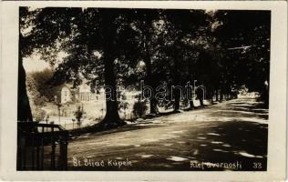 1928 Szliácsfürdő, Kúpele Sliac; Alej Svornosti / harmónia fasor, sétány / promenade, villa, photo