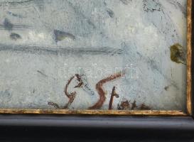 Olvashatatlan (G. Stein?) jelzéssel: Havas táj. Olaj, karton. Dekoratív, üvegezett fakeretben. 47,5x...